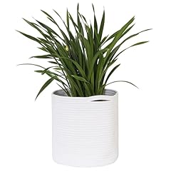 Megasket white woven for sale  Delivered anywhere in USA 