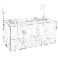 Atpwonz fish breeding for sale  Delivered anywhere in USA 