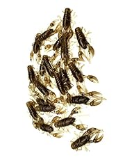 New micro craw for sale  Delivered anywhere in USA 