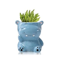 Diyomr cute animals for sale  Delivered anywhere in USA 