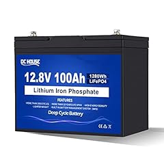 12v 100ah lifepo4 for sale  Delivered anywhere in USA 