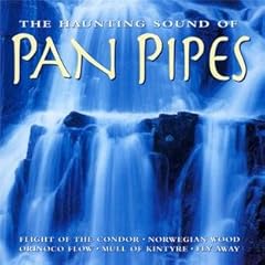 Haunting sound pan for sale  Delivered anywhere in UK
