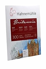 Hahnemühle britannia aquarell gebraucht kaufen  Wird an jeden Ort in Deutschland