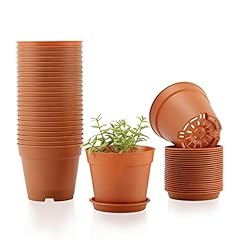 Foragift 10cm small for sale  Delivered anywhere in UK