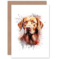Artery8 red labrador for sale  Delivered anywhere in UK