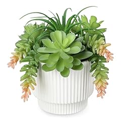 Succulents plant artificial for sale  Delivered anywhere in USA 