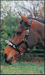 William hunter equestrian for sale  Delivered anywhere in USA 
