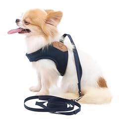 Lophipets lightweight dog for sale  Delivered anywhere in USA 