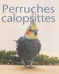 Perruches calopsittes d'occasion  Livré partout en Belgiqu