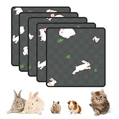 Modeslab pack guinea for sale  Delivered anywhere in USA 