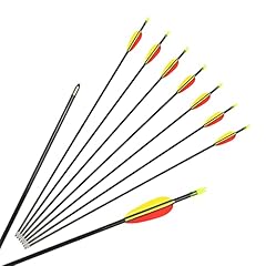 Man kung fiberglaspfeil gebraucht kaufen  Wird an jeden Ort in Deutschland