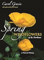 Spring wildflowers northeast for sale  Delivered anywhere in USA 