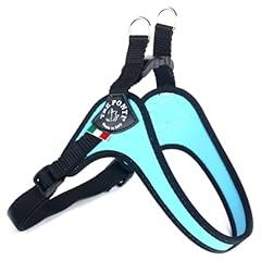 Pettorine azzurro cane usato  Spedito ovunque in Italia 