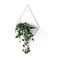 Umbra trigg wandvase gebraucht kaufen  Wird an jeden Ort in Deutschland