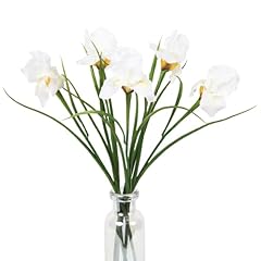 Insunsix 5pcs white for sale  Delivered anywhere in USA 