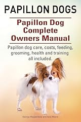 Papillon dogs. papillon for sale  Delivered anywhere in UK