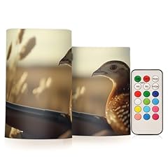 Lficrtan quail sitting for sale  Delivered anywhere in USA 