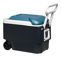 Igloo quart maxcold for sale  Delivered anywhere in USA 