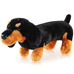 Zjoey dachshund dog for sale  Delivered anywhere in USA 