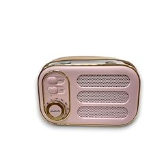 Cassa bluetooth portatile usato  Spedito ovunque in Italia 