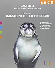 Nuovo immagini della usato  Spedito ovunque in Italia 