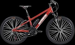 Lombardo bici mtb usato  Spedito ovunque in Italia 