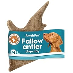Ameizpet fallow antler for sale  Delivered anywhere in UK