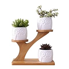 Youfui 3pcs owl for sale  Delivered anywhere in USA 