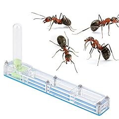 Ant house transparent for sale  Delivered anywhere in UK