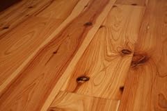 Kingsport australian cypress for sale  Delivered anywhere in USA 