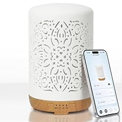 Earnest living diffuseur d'occasion  Livré partout en France