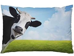 Ekobla throw pillow for sale  Delivered anywhere in USA 