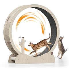 Zeny cat exercise for sale  Delivered anywhere in USA 