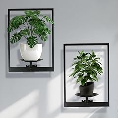 Sunlitopto 2pc plant for sale  Delivered anywhere in USA 