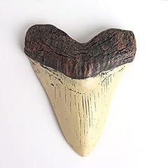 5.5 inch megalodon for sale  Delivered anywhere in USA 