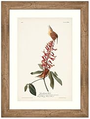 Amanti art framed for sale  Delivered anywhere in USA 