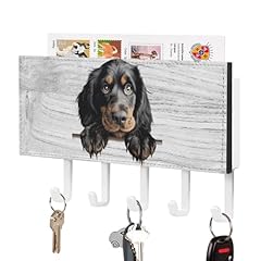Gordon setter portachiavi usato  Spedito ovunque in Italia 
