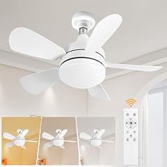 Socket ceiling fan for sale  Delivered anywhere in USA 