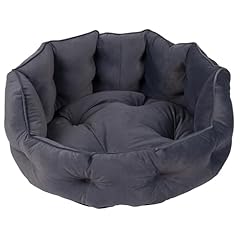 Bunty monarch dog for sale  Delivered anywhere in UK