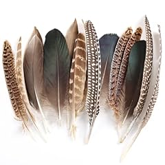 Daieeparty 15pcs pheasant for sale  Delivered anywhere in USA 