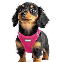 Rabbitgoo dog harness for sale  Delivered anywhere in UK