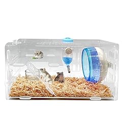 Kathson dwarf hamster for sale  Delivered anywhere in USA 