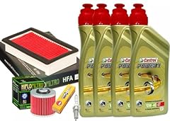 Kit tagliando castro.l usato  Spedito ovunque in Italia 
