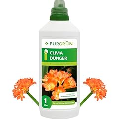 Purgrün clivia dünger gebraucht kaufen  Wird an jeden Ort in Deutschland