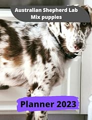 Australian shepherd lab for sale  Delivered anywhere in USA 