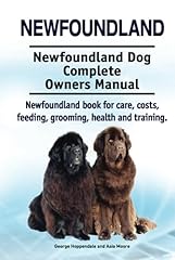 Newfoundland. newfoundland dog for sale  Delivered anywhere in UK