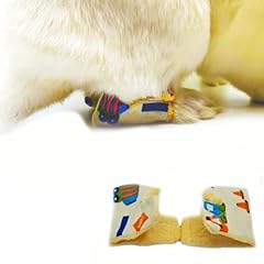 Mini rex rabbit for sale  Delivered anywhere in USA 