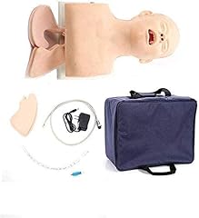 Anatomy model adult for sale  Delivered anywhere in UK