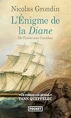 énigme diane iroise d'occasion  Livré partout en France