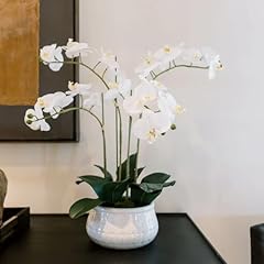 Hunter faux white for sale  Delivered anywhere in USA 